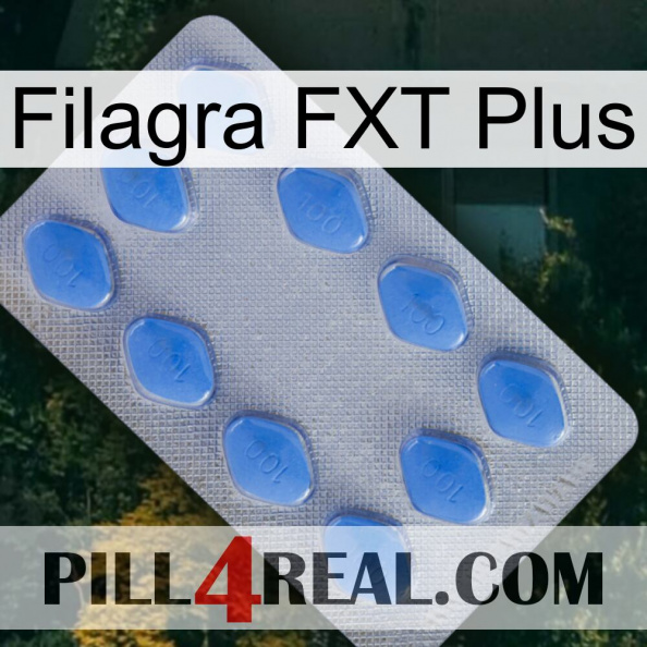 Filagra FXT Plus 21.jpg